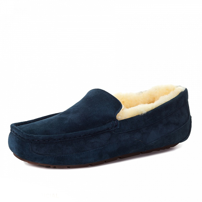 Ascot — Navy