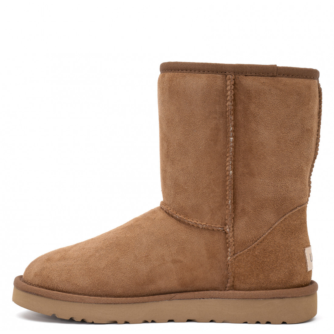 Classic Short II — Chestnut